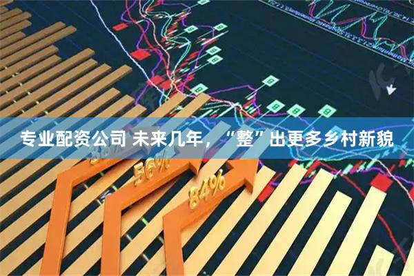 专业配资公司 未来几年，“整”出更多乡村新貌
