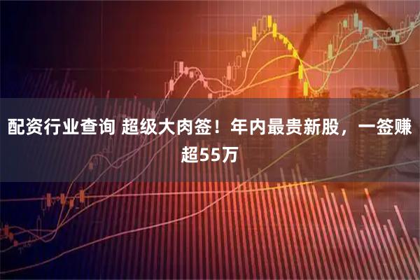 配资行业查询 超级大肉签！年内最贵新股，一签赚超55万
