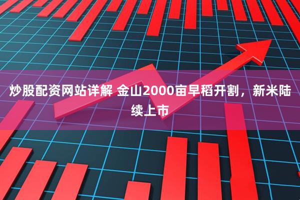 炒股配资网站详解 金山2000亩早稻开割，新米陆续上市